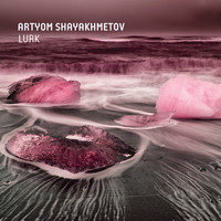 Artyom Shayakhmetov - Lurk