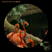 Lorenzo Montanà - Iso Le