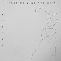 Pigion - Changing Like the Wind