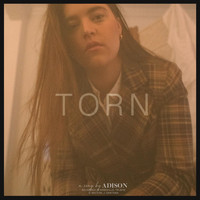 Adison - Torn