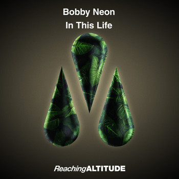 Bobby Neon - In This Life