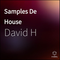 David H - Samples De House