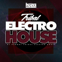 DJ Pangui - Tribal Electro House