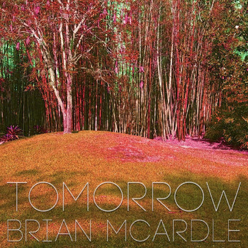 Brian McArdle - Tomorrow
