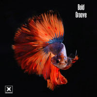 Bold - Groove