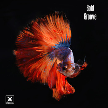Bold - Groove