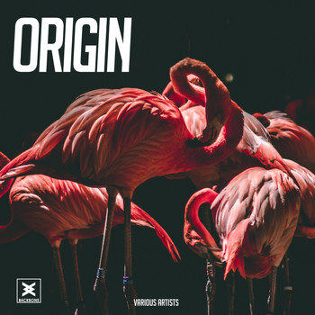 Various Artists - Origin