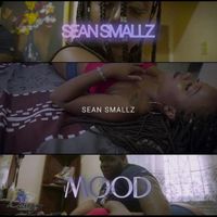 Sean Smallz - Mood