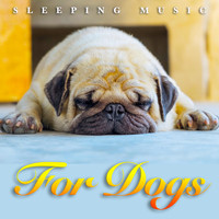 Dog Music, Music For Dog's Ears, Sleeping Music For Dogs - Sleeping Music For Dogs: Ambient Binaural Beats, Calm Music For Dogs Ears and Soothing Dog Music