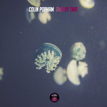 Colin Popham - Two by Two