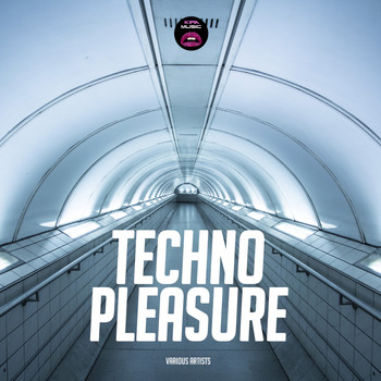 Various Artists - Techno Pleasure