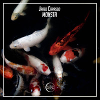 Jared Capasso - Monsta