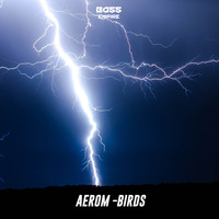 Aerom - Birds