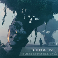 BORKA FM - Transformation LP