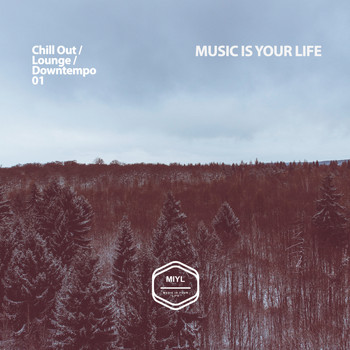 Various Artists - MUSIC IS YOUR LIFE - Chill Out / Lounge / Downtempo .01