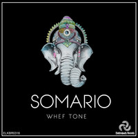 Whef Tone - Somario