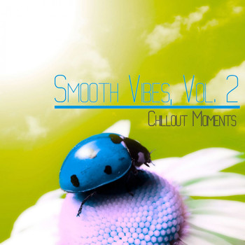Various Artists - Smooth Vibes, Vol. 2 (Chillout Moments)