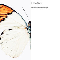 Little Birds - Generative & Collage