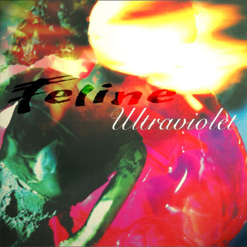 Feline - Ultraviolet