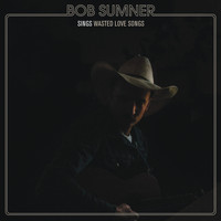 Bob Sumner - Wasted Love Songs