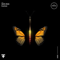 Safe Iron - Evolute