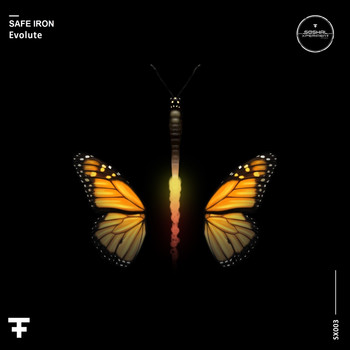 Safe Iron - Evolute