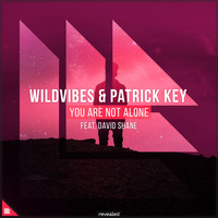 Wildvibes, Patrick Key and David Shane - You Are Not Alone