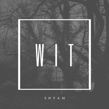 Shyam - Wit