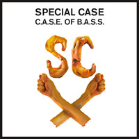 Special Case - Case Of Bass EP