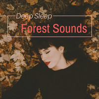 Sleep Music Universe - Deep Sleep Forest Sounds - Dreamy Night Music for Relaxation