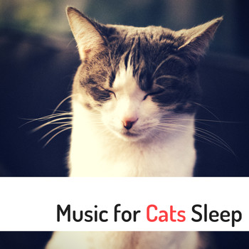 Pet Care Relaxing Companion - Music for Cats Sleep - Anti-Hyperactivity Songs to Keep your Pet Calm, Soothe Hyper Cat