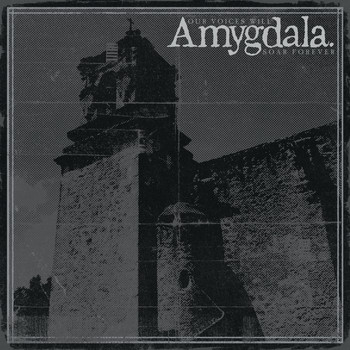 Amygdala - I Hate to Say It
