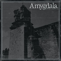 Amygdala - Born into Abuse