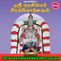 Rahul - Thiruvallikkeni Sri Narasimhar Brahmotsavam