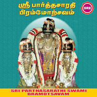 Rahul - Sri Parthasarathi Swami Brahmotsavam