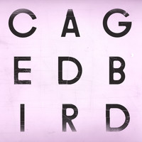 The Cinematic Orchestra - A Caged Bird/Imitations of Life