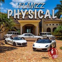 Flamzz - Physical - Single