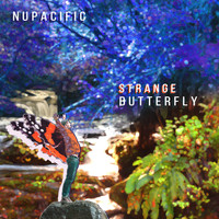 Nupacific - Strange Butterfly
