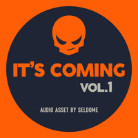 Seldome - It's Coming Vol.1 (Video Game Music)