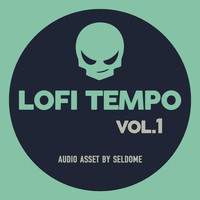 Seldome - LoFi Tempo Vol.1 (Video Game Music)