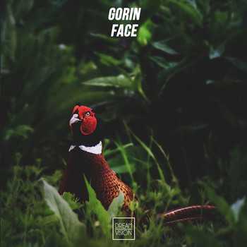 Gorin - Face