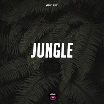 Various Artists - Jungle