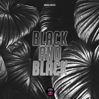 Various Artists - Black and Black