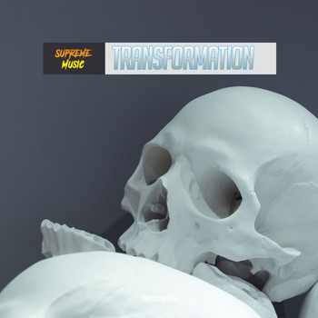 Various Artists - Transformation