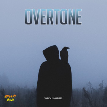Various Artists - Overtone
