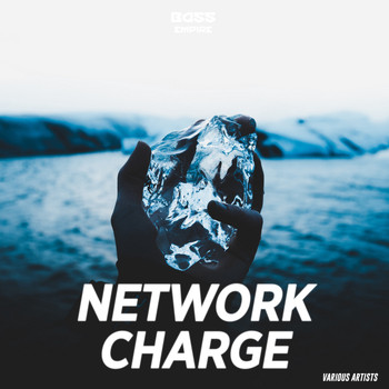 Various Artists - Network Charge