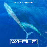 Alex LaMark - Whale