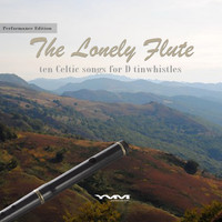 Yves Vroemen - The lonely Flute