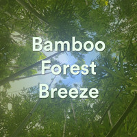Ambient Calm - Bamboo Forest Breeze