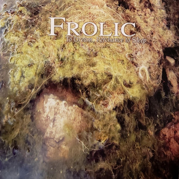 Frolic - To Dream, Perchance to Sleep